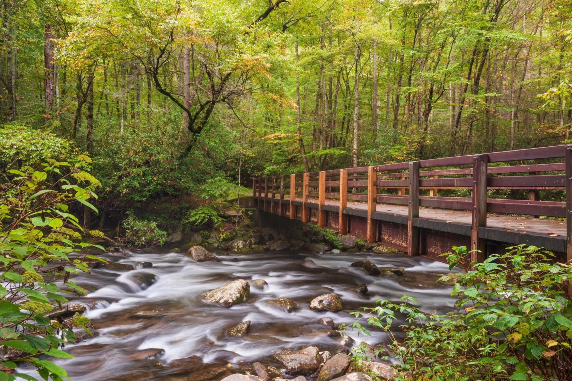 Forever Yours, Hot Tub, 1089 Of Free Attraction Tickets For Each Paid Day, Dollywood And More Pigeon Forge Eksteriør billede